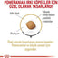 Royal Canin Breed Health Nutrition Pomeranian Adult 1.5 KG
