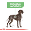 Royal Canin Canine Care Nutrition Maxi Digestive Care 12 KG