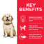 Hill's Science Plan Large Breed Puppy Food with Chicken