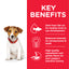 Hill's Science Plan Small & Mini Puppy Food with Chicken