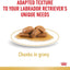Royal Canin Breed Health Nutrition Labrador (Wet Food - Pouches) 10 x 140g