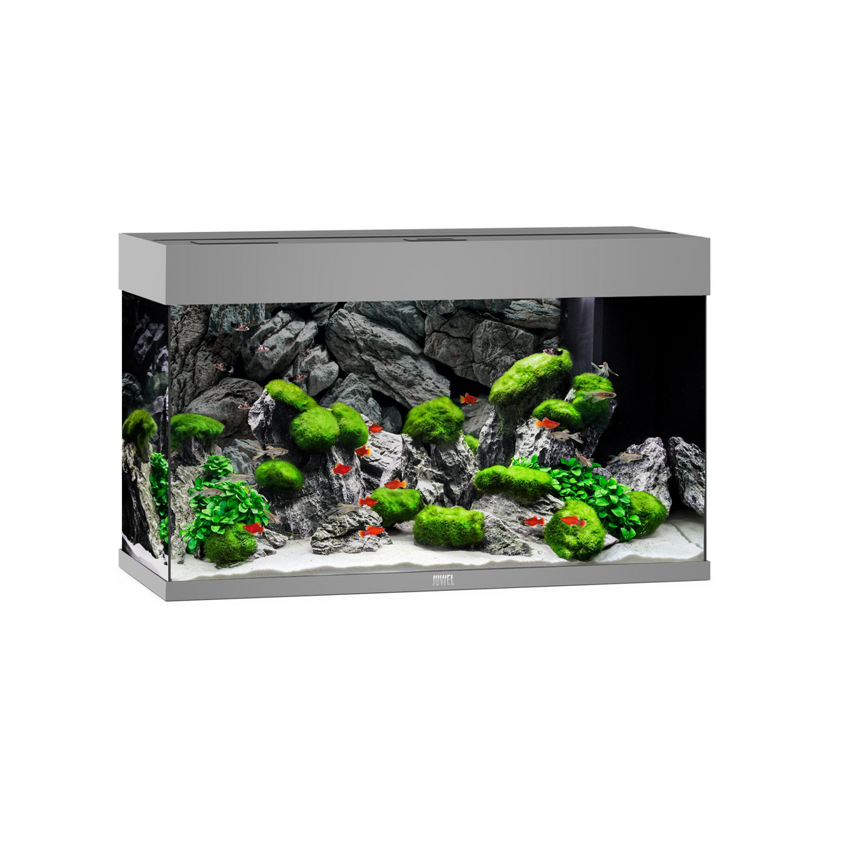 Juwel Rio 125 LED Grey