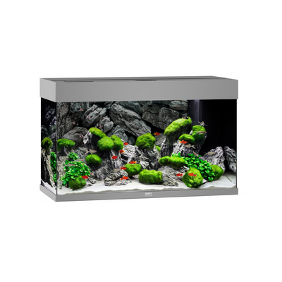 Juwel Rio 125 LED Grey