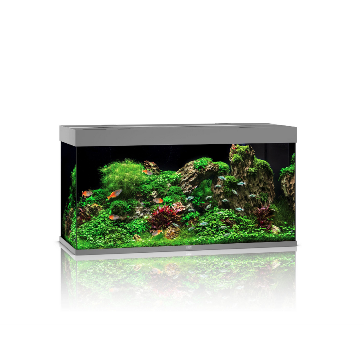 Juwel Rio 350 LED Grey