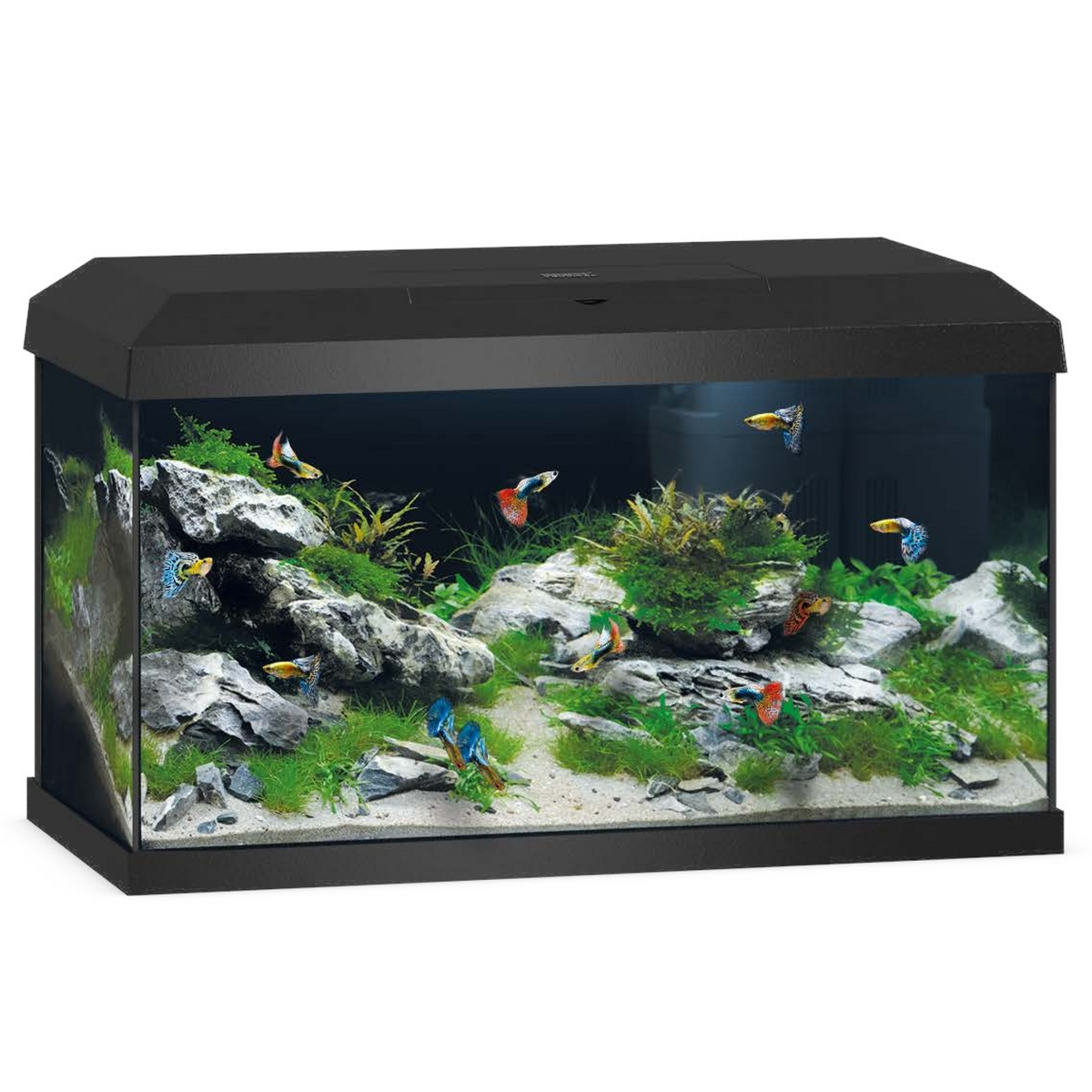 Juwel Primo 60 LED 2.0 Black