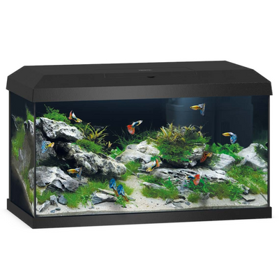 Juwel Primo 60 LED 2.0 Black