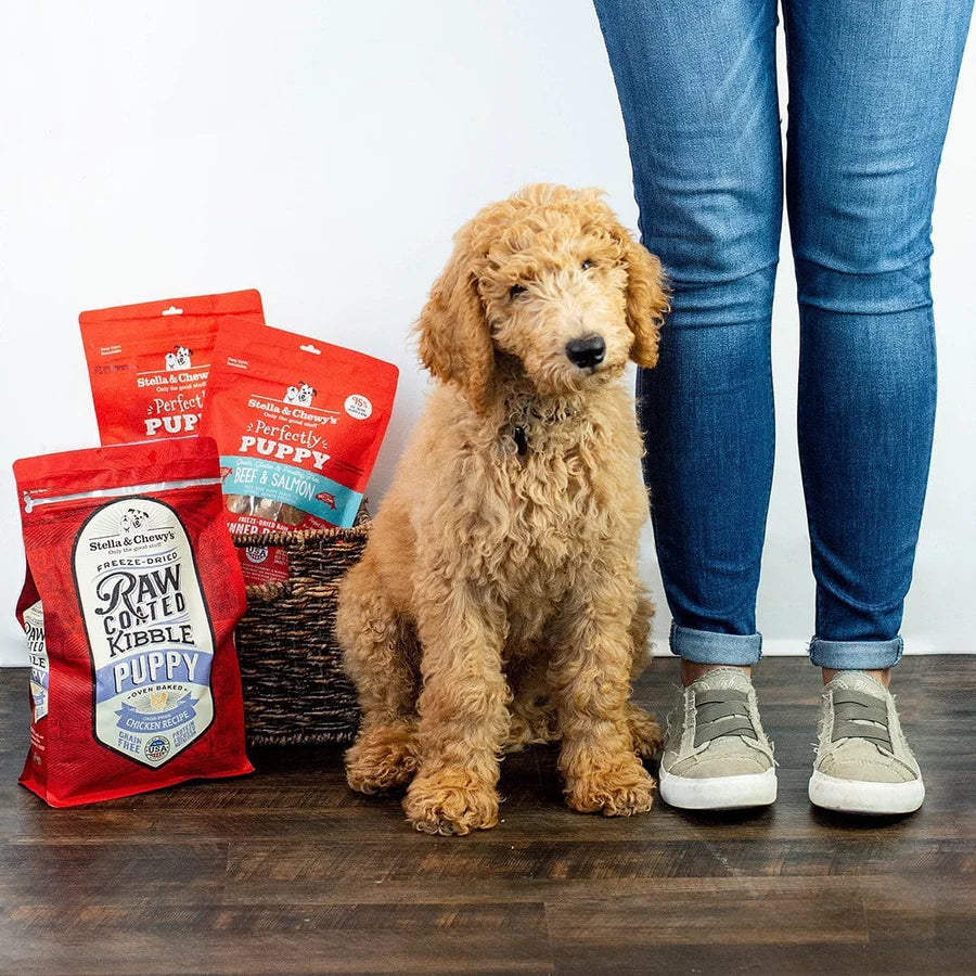Stella & Chewy's Raw Coated Chicken Recipe - PUPPY