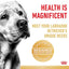 Royal Canin Breed Health Nutrition Labrador (Wet Food - Pouches) 10 x 140g