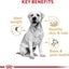 Royal Canin Breed Health Nutrition Labrador Puppy