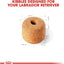 Royal Canin Breed Health Nutrition Labrador Puppy