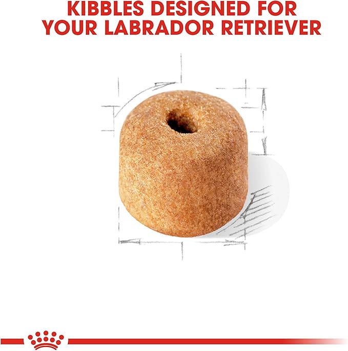 Royal Canin Breed Health Nutrition Labrador Puppy