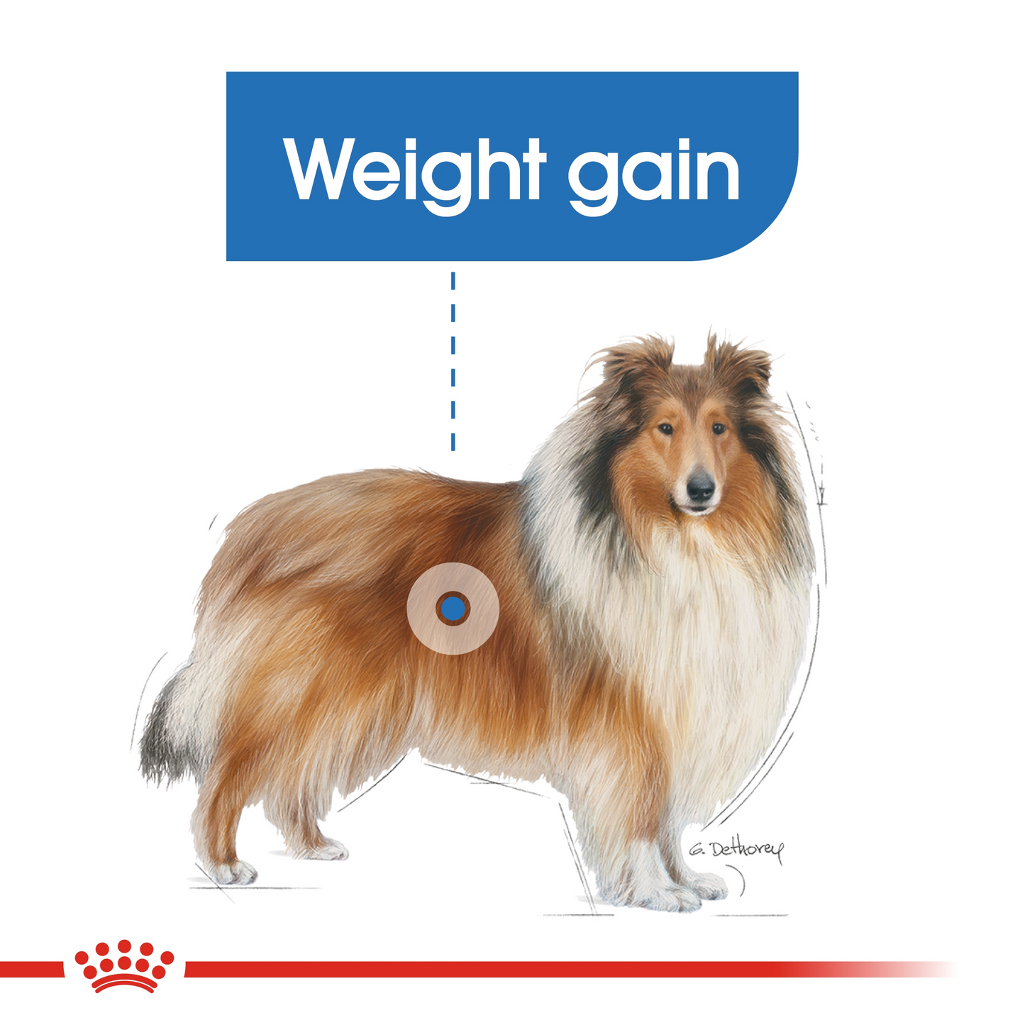 Royal Canin Canine Care Nutrition Maxi Light Weight Care 12 KG