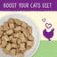 Stella & Chewy's Digestive Boost Chicken Recipe - 7.5oz