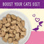 Stella & Chewy's Skin & Coat Boost Duck & Salmon Recipe - 7.5oz