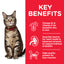 Hills Science Plan Adult Cat Food with Chicken