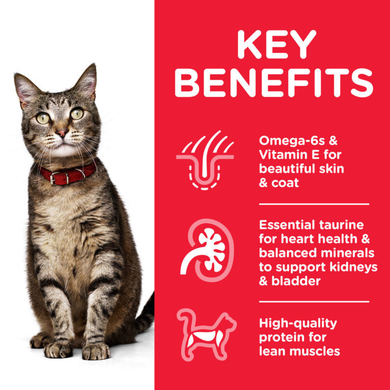 Hills Science Plan Adult Cat Food with Chicken