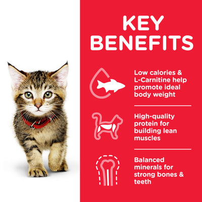 Hill's Science Plan Kitten Food with Chicken