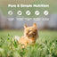 Zeal Grain Free Canned Cat Food 90g (Chicken Recipe)