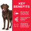 Hill's Science Plan Healthy Mobility Large Breed Adult Dog Food with Chicken