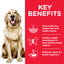 Hill's Science Plan Adult Perfect Weight Large Breed Dog Food with Chicken