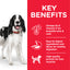 Hill's Science Plan Medium Adult Dog Food with Chicken