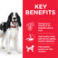 Hill's Science Plan Medium Adult Dog Food with Lamb & Rice