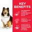 Hill's Science Plan Sensitive Stomach & Skin Medium Adult Dog Food with Chicken