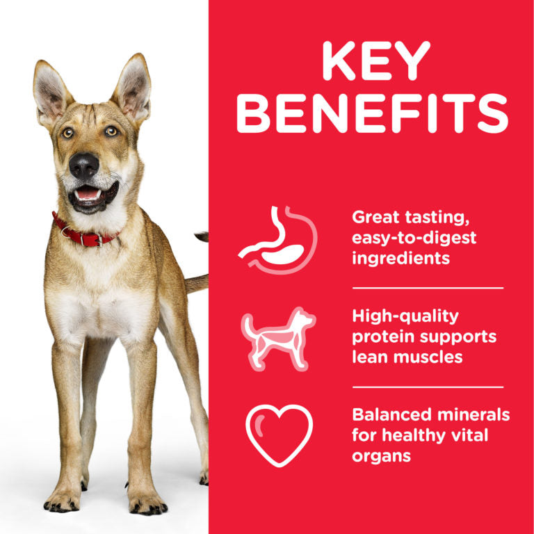 Hill's Science Plan Performance Adult Dog Food with Chicken