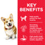 Hill's Science Plan Small & Mini Adult Dog Food with Lamb & Rice