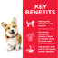 Hill's Science Plan Small & Mini Adult Dog Food with Chicken
