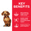 Hill's Science Plan Perfect Weight Small & Mini Adult Dog Food with Chicken