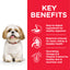 Hill's Science Plan Small & Mini Mature Adult 7 + Dog Food with Chicken