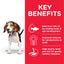 Hill's Science Plan Medium Puppy Food with Lamb & Rice