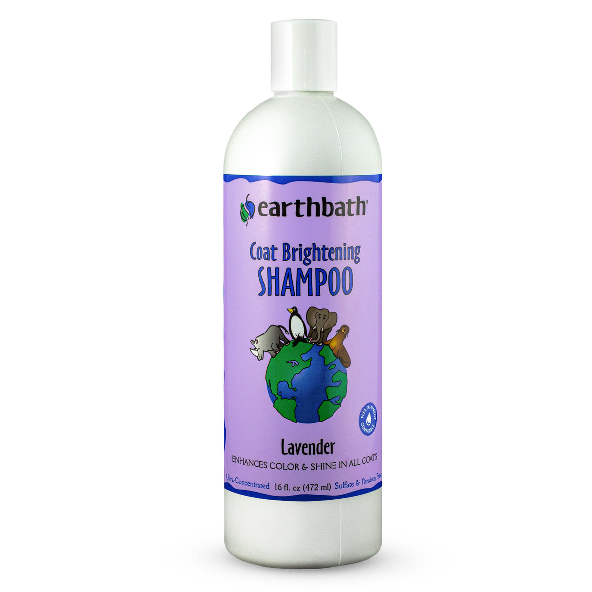Earthbath Coat Brightening Shampoo, Lavender, Enhances Color & Shine in All Coats, Made in USA, 16 oz