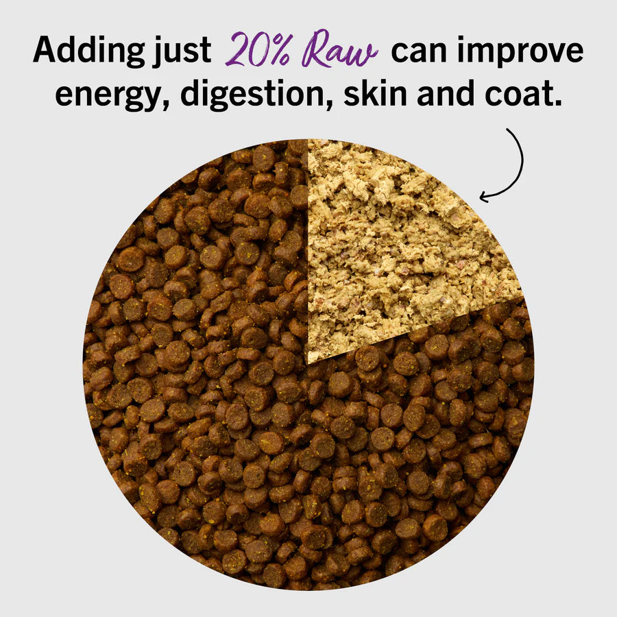 Stella & Chewy's Cat Freeze Dried Dinner Morsels - Bountiful Beef Recipe
