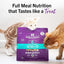 Stella & Chewy's Cat FD Sea-Licious Salmon & Cod
