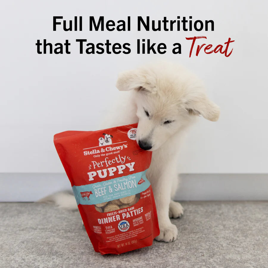Stella & Chewy's Dog FD Perfectly Puppy Beef & Salmon Patties - 14oz