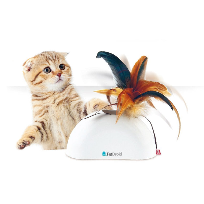 Feather Hider    Natural Feather Sound Module & Motion Sensor