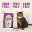 Stella & Chewy's Baked Kibble for Cats - Raw Blend Cage-Free Recipe
