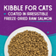 Stella & Chewy's Cat-Raw Coated Kibble Salmon