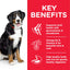 Hill's Science Plan Large Breed Adult Dog Food with Lamb & Rice