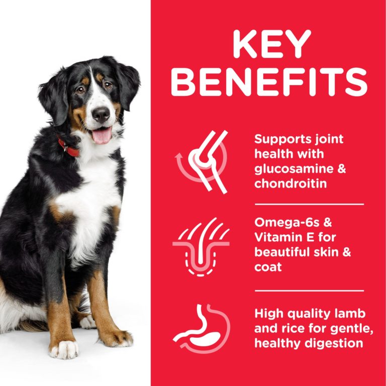 Hill's Science Plan Large Breed Adult Dog Food with Lamb & Rice