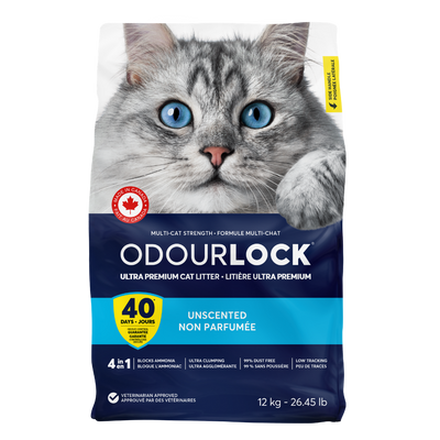 Intersand OdourLock Unscented Original Ultra premium Clumping Cat Litter Blocks ammonia, 99.9% Dust free