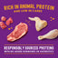 Stella & Chewy's Carnivore Cravings Morsels'N'Gravy- Chicken & Beef Recipe - 2.8 oz