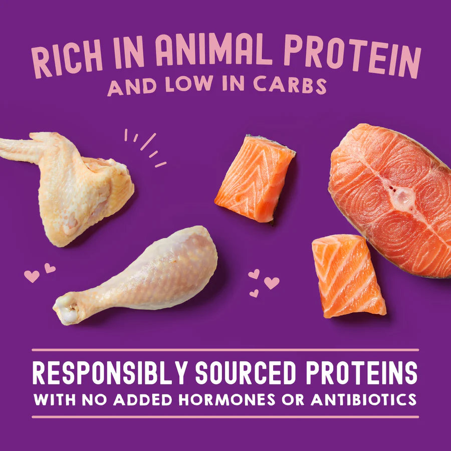 Stella & Chewy's Carnivore Cravings Morsels'N'Gravy - Chicken & Salmon Recipe - 2.8 oz