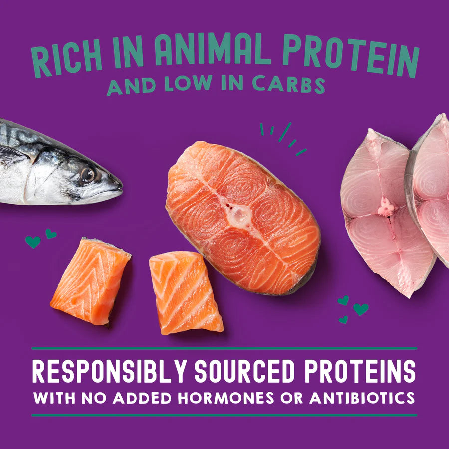Stella & Chewy's Carnivore Cravings Morsels'N'Gravy - Salmon & Mackerel Recipe - 2.8 oz