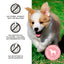 Primal Give Pieces A Chance  Beef with Broth Jerky Treat 4oz
