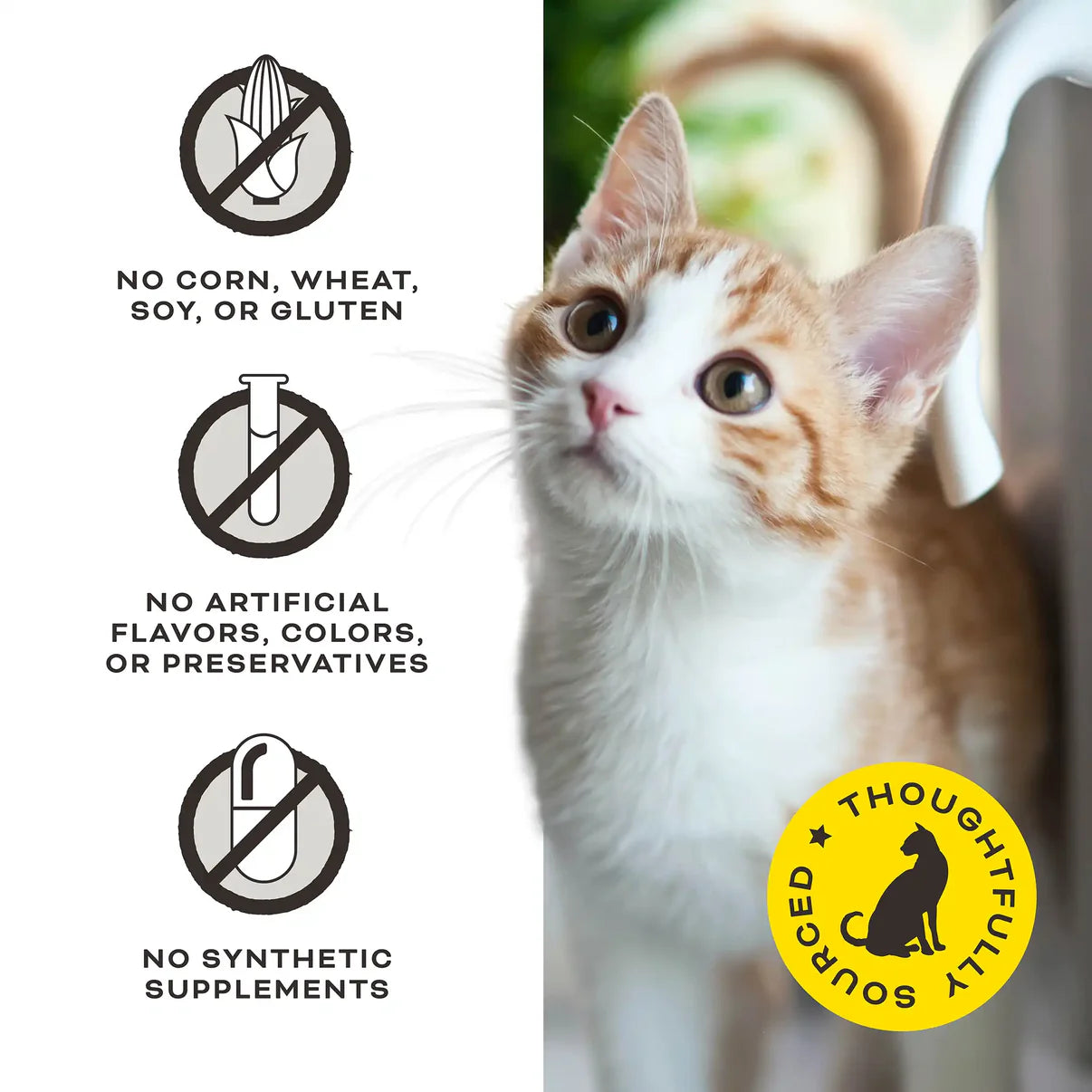 Primal Give Pieces A Chance  Chicken with Broth  for cats! Jerky Treat 4oz