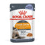Royal Canin Feline Care Nutrition Hair & Skin Jelly (INTENSE BEAUTY) (Cat Wet Food - Pouches)