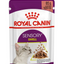 Royal Canin Feline Health Nutrition Sensory Smell Gravy (Cat Wet Food - Pouches)